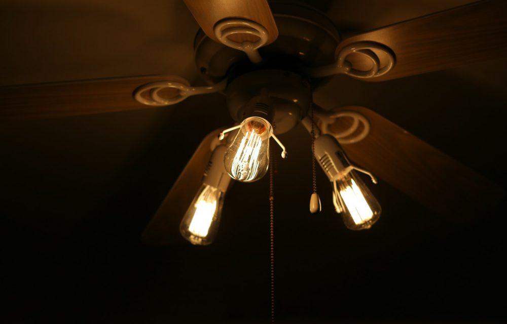 Ceiling fan and pendant light